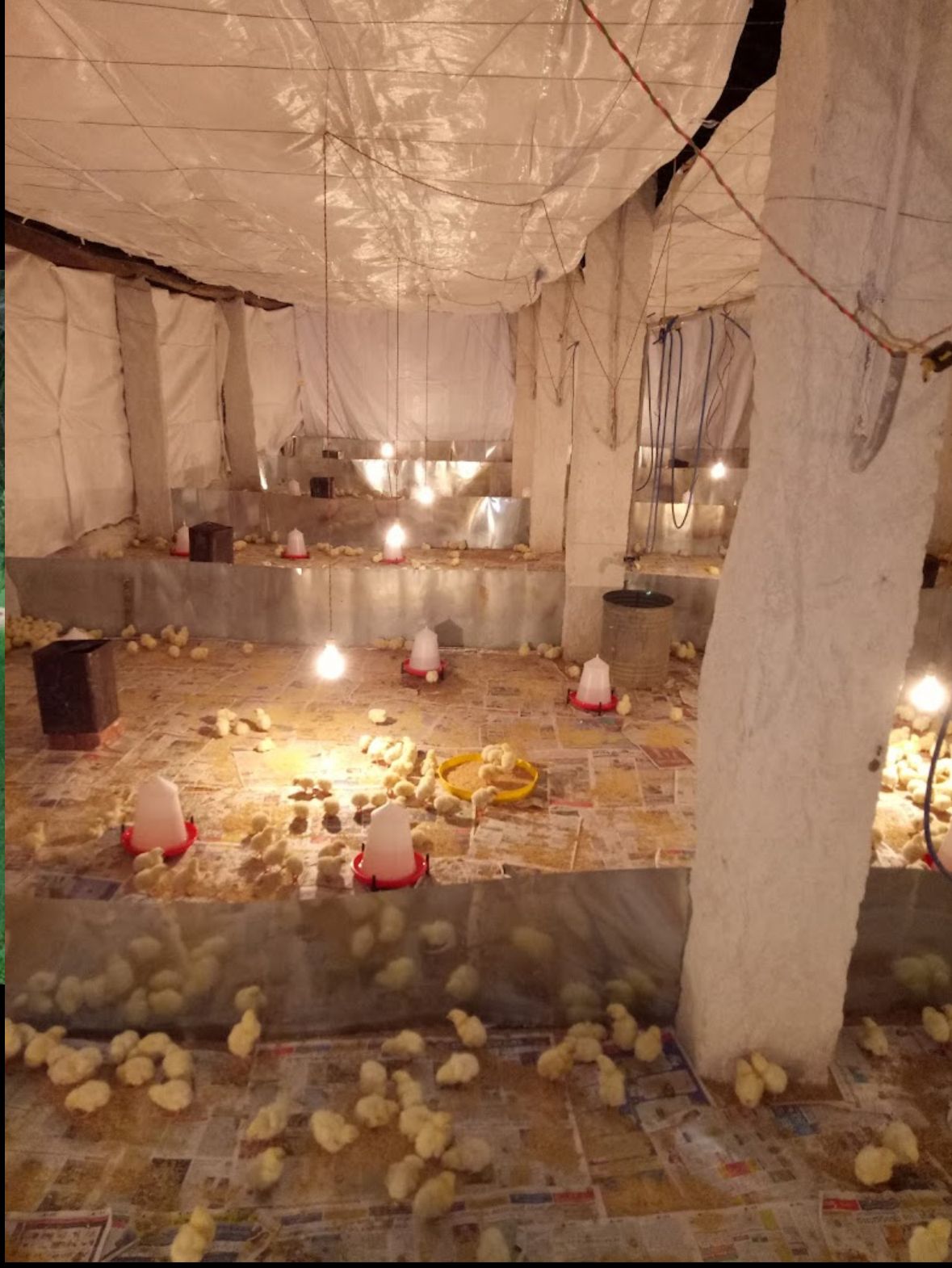 Farm Land for Sale – Near Shivaganga Hills (Between Nelamangala & Dabaspet)